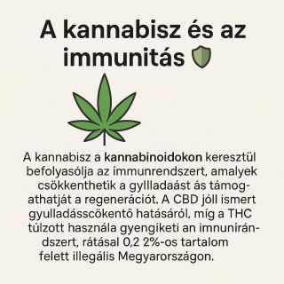 A ka*nabisz a ka*nabinoidokon keresztül hat az immunrendszerre. 🌿 A CBD támogathatja a természetes regenerációt és...