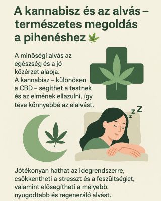 A ka*nabisz rövid távon segíthet az elalvásban, különösen a nyugtató és pihentető CBD-nek köszönhetően. A hosszú távú...