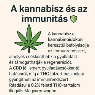 🌿💚 Hogyan befolyásolja a kan*abisz az immunrendszerünket? A CBD természetes módon segíthet a szervezetnek a gyulladások...
