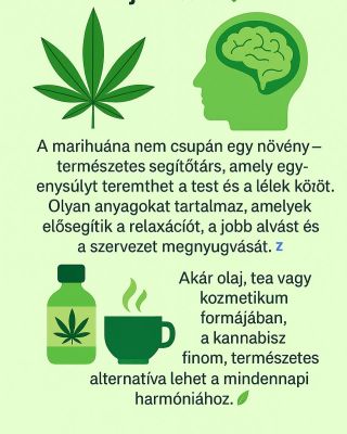 🌿 A kan*abisz ereje az egészségért és a jólétért Természetes módja annak, hogy békét, egyensúlyt és regenerációt teremts a...